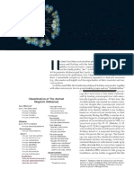 Filum Rotifera-Brusca Et Al., 2019