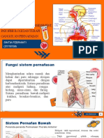 Sintia Febrianti Fso Sistem Pernafasan