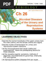 Microbial Diseases of The Urinary and Reproductive Systems