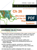 Microbial Diseases of The Urinary and Reproductive Systems