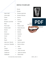 Dental Vocabulary: Dra Claudia Alessy Chumán Cabanillas OD7M1 - 2018 - II