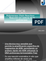 Teórica de PCR