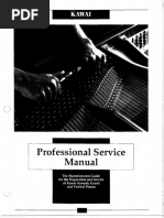 Acoustic Professional Service Manual PDF