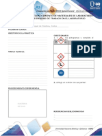Anexo - Formato preinformes e informes.docx