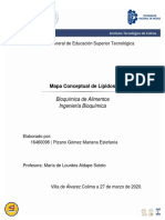 PizanoGomezMarianaEstefanía MapaConceptual PDF