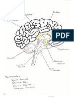 CamScanner 04-20-2020 18.04.00.pdf