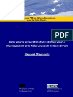 Etude_pour_la_preparation_d_une_strategi (2).pdf