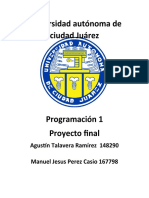 Proyecto Final Programacion