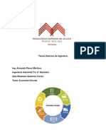 Economia Circular Gutierrez Torres Alan Rhamses.pdf