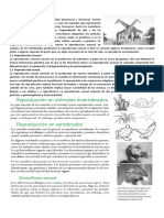 taller reproduccion animal.pdf
