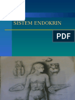 An-Fis Sistem Endokrin