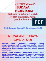 Budaya Organisasi Vii