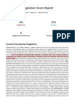 SER-Plagiarism-Report.pdf