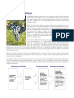 Fermentation & Dissolved Oxygen: Application Notes