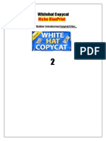 NicheBlueprint.pdf