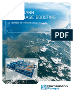 Bornemann_multiphase.pdf