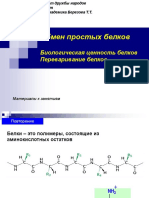 переваривание белков