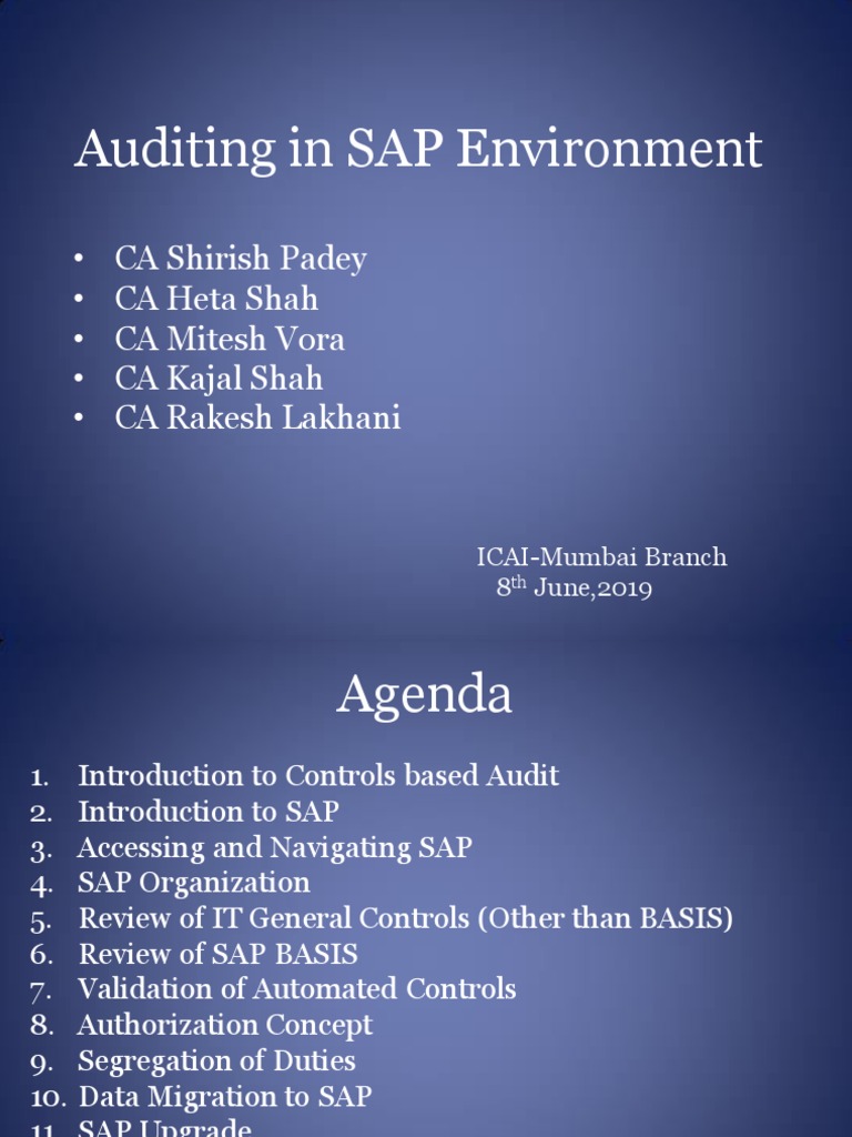 SAP Audit and Security Overview | PDF | Databases | Operating System