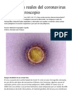 Fotografías reales del coronavirus bajo el microscopio (1).pdf