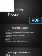 Muscle Tissue