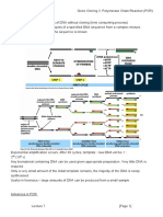 MBII - L7 - Gene Cloning 2 - Polymerase Chain Reaction