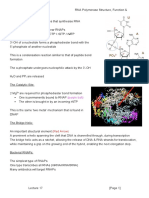 MBII - L17 - Transcription 1 - RNA Polymerase Structure, Function & Evolution