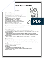 proiect_de_activitate4_dec.doc