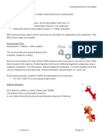 MBII - L21 - Transcription 5 - Nucleosomes and Chromatin