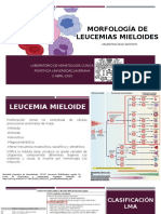 Morfología Leucemias mieloides-ValentinaDiaz
