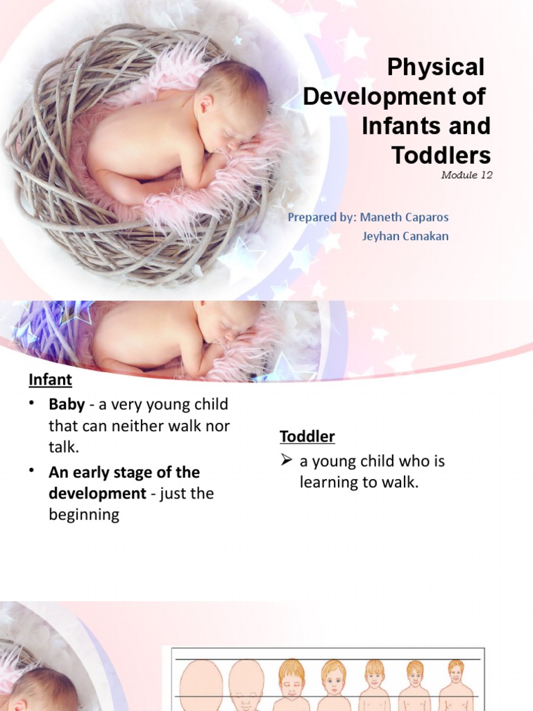 Physical Development in Infants & Toddlers | PDF | Infants | Brain