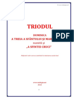 triod-duminica-3.pdf