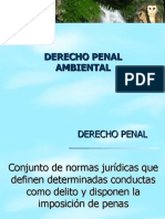 derecho-penal-ambiental.ppt