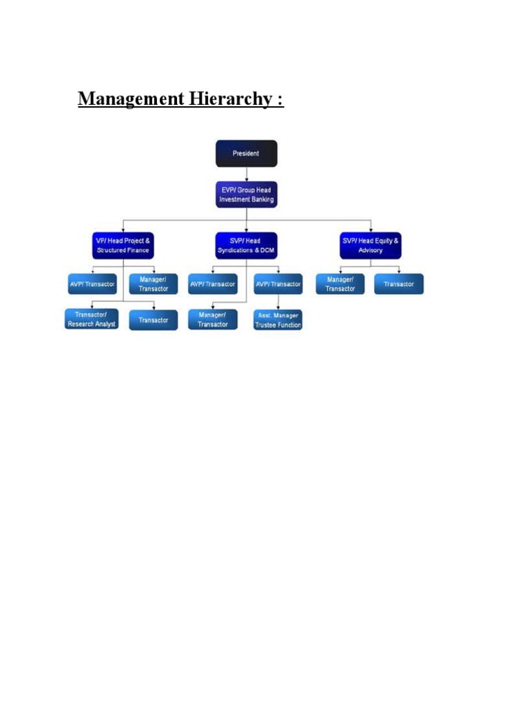 Management Hierarchy | PDF
