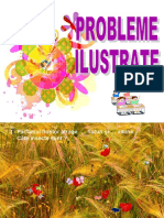 Probleme Ilustrate