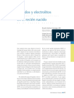 Liquidos_y_electrolitos_en_RN_precop.pdf