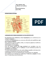 Physiology Heart