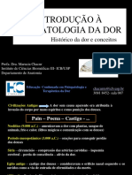 23_04_2014_Aula-de-Introdução-à-Fisiopatologia-da-Dor.pdf