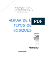 Tipos de Bosques