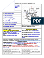 Copy of Body Systems Graphic Organizers - Study Guides - Backup For Student Presentations