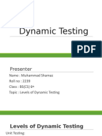 Dynamic Testing.pptx