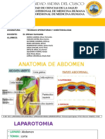 Laparotomia Exploratoria