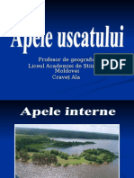 Profesor de Geografie Liceul Academiei de Știință A M Oldovei Craveț Ala