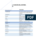 Estructura y Función Del Sistema Respiratorio