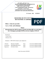 Memoire Terminé PDF