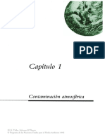 Contaminación Atmosférica.