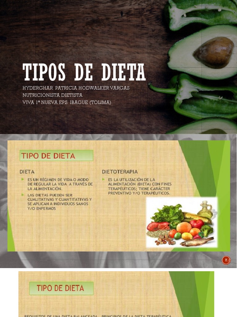 Tipos De Dieta Pdf