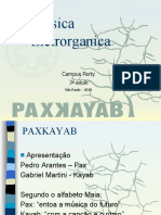 Projetopaxkayab 100126094511 Phpapp01
