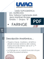 Anatomia y Fisiologia Faringe