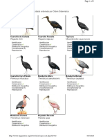 Familia Threskiornithidae