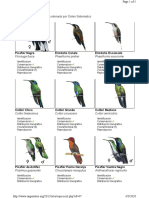 Familia Trochilidae